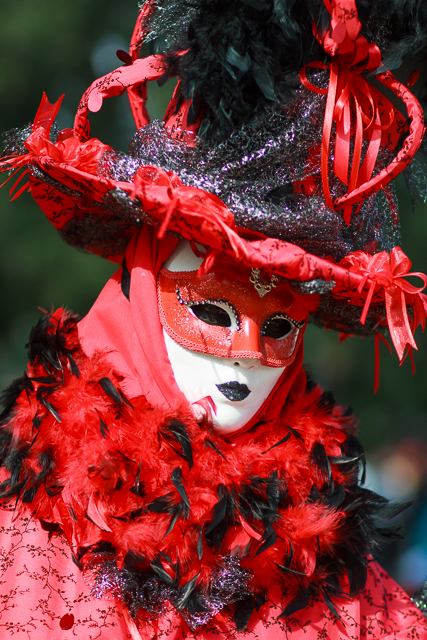 Carnaval venitien annecy 2014-1560