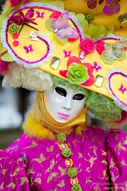Carnaval venitien annecy 2013-4867