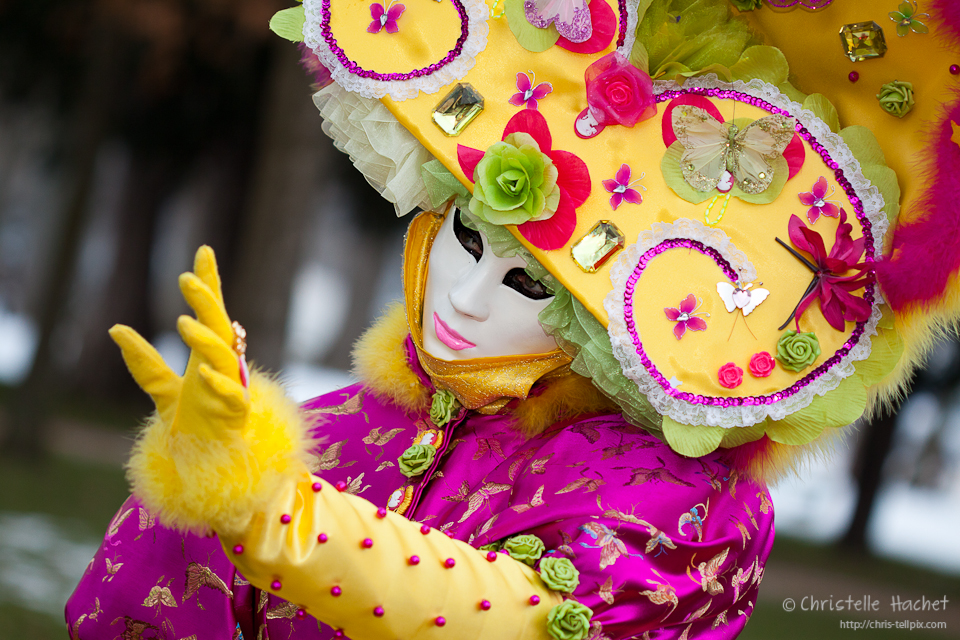 Carnaval venitien annecy 2013-4873